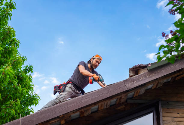 Best Solar Panel Roofing Installation  in Adrian, MO